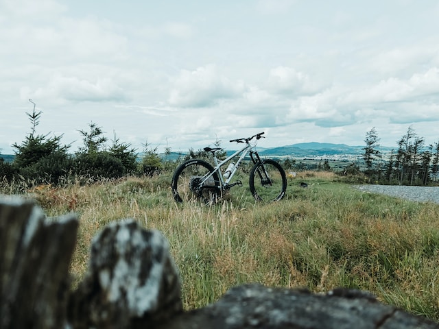 bike in woods